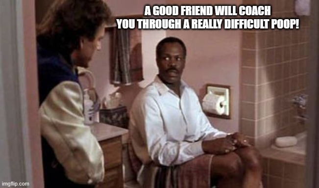 A good friend helps you poop! | A GOOD FRIEND WILL COACH YOU THROUGH A REALLY DIFFICULT POOP! | image tagged in lethal weapon,poop,toilet,mel gibson,danny glover,poo | made w/ Imgflip meme maker