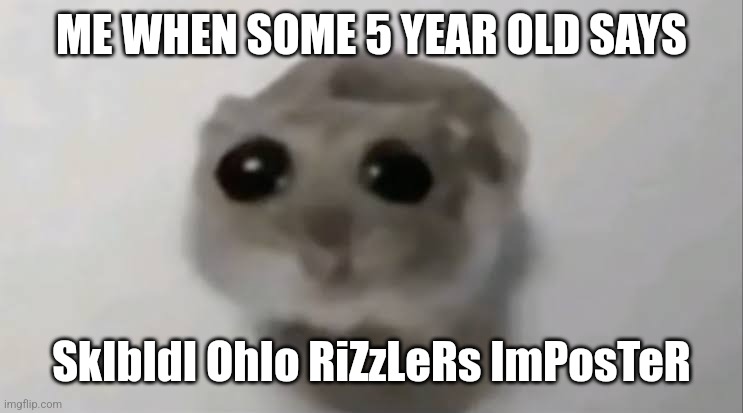 Yes | ME WHEN SOME 5 YEAR OLD SAYS; SkIbIdI OhIo RiZzLeRs ImPosTeR | image tagged in sad hamster | made w/ Imgflip meme maker