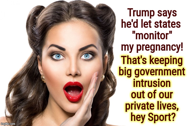 Big Brother is watching you. He's a Republican, and he drools.. | Trump says he'd let states 
"monitor" my pregnancy! That's keeping 
big government 
intrusion 
out of our 
private lives, 
hey Sport? | image tagged in woman,trump,conservative hypocrisy,misogyny | made w/ Imgflip meme maker