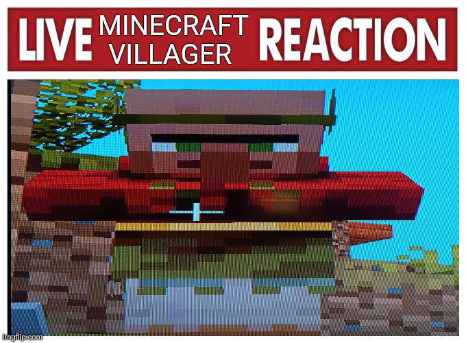 Live Minecraft villager Reaction | MINECRAFT VILLAGER | image tagged in live reaction | made w/ Imgflip meme maker