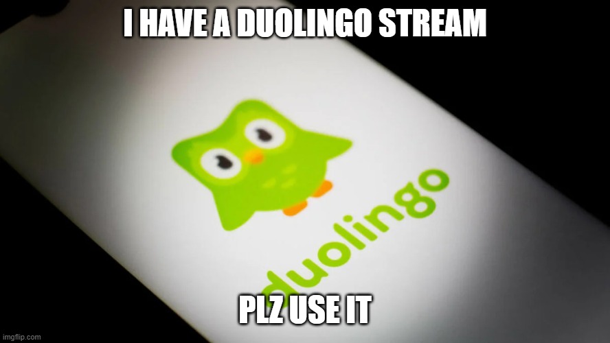 I HAVE A DUOLINGO STREAM; PLZ USE IT | image tagged in duolingo,duolingo bird | made w/ Imgflip meme maker