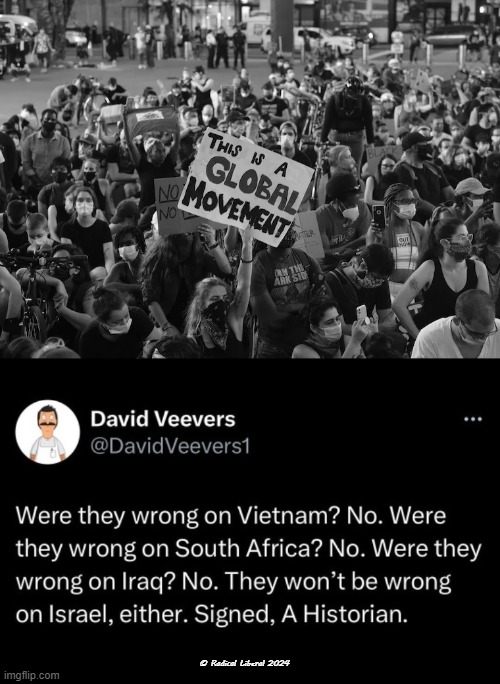 Protests over Time | © Radical Liberal 2024 | image tagged in protests,vietnam,gaza,south africa,iraq,history | made w/ Imgflip meme maker