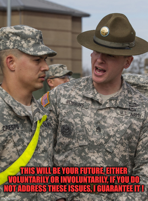 US Army Drill Sergeant | THIS WILL BE YOUR FUTURE, EITHER VOLUNTARILY OR INVOLUNTARILY, IF YOU DO NOT ADDRESS THESE ISSUES, I GUARANTEE IT ! | image tagged in us army drill sergeant | made w/ Imgflip meme maker