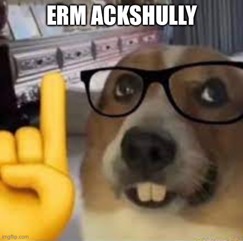 nerd dog | ERM ACKSHULLY | image tagged in nerd dog | made w/ Imgflip meme maker