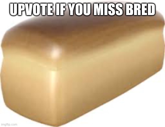 Bred | UPVOTE IF YOU MISS BRED | image tagged in bred | made w/ Imgflip meme maker
