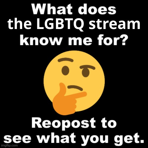 What does MS_memer_group know me for? | the LGBTQ stream | image tagged in what does ms_memer_group know me for | made w/ Imgflip meme maker