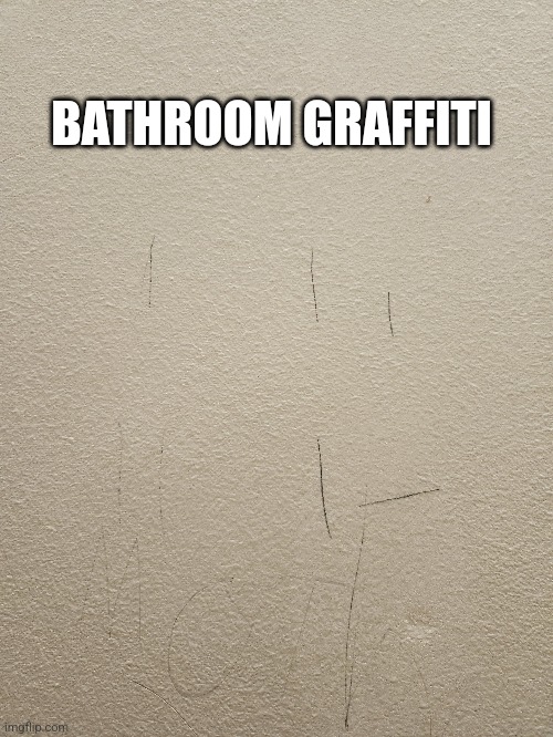 BATHROOM GRAFFITI | made w/ Imgflip meme maker