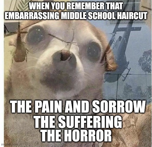 The ultimate shame | WHEN YOU REMEMBER THAT EMBARRASSING MIDDLE SCHOOL HAIRCUT; THE PAIN AND SORROW; THE SUFFERING; THE HORROR | image tagged in ptsd chihuahua | made w/ Imgflip meme maker