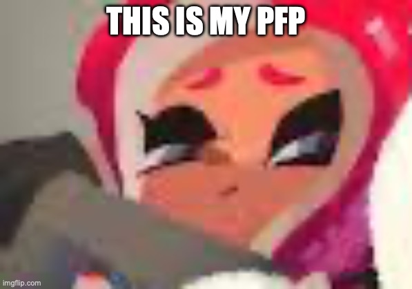 Tako pfp | THIS IS MY PFP | image tagged in tako pfp | made w/ Imgflip meme maker