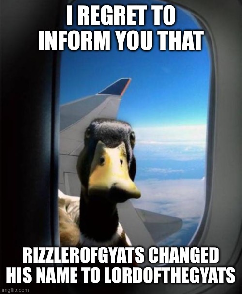 Why did he do it | I REGRET TO INFORM YOU THAT; RIZZLEROFGYATS CHANGED HIS NAME TO LORDOFTHEGYATS | image tagged in duck on plane wing | made w/ Imgflip meme maker