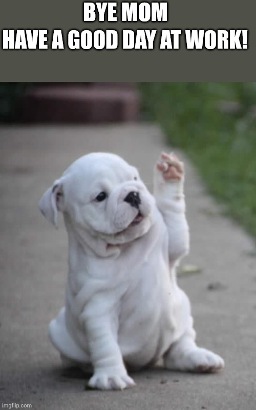 Puppy High Five  | BYE MOM; HAVE A GOOD DAY AT WORK! | image tagged in puppy high five | made w/ Imgflip meme maker