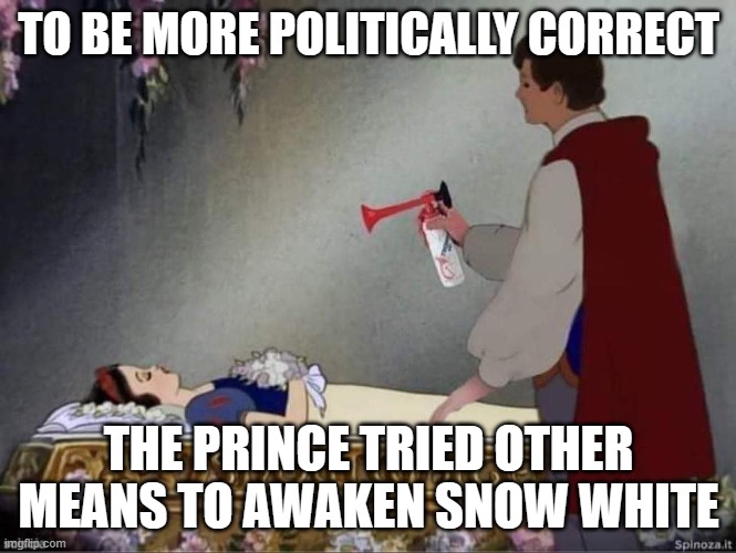 Alternative To Love's First Kiss | TO BE MORE POLITICALLY CORRECT; THE PRINCE TRIED OTHER MEANS TO AWAKEN SNOW WHITE | image tagged in snow white,disney princess,air horn,politically correct | made w/ Imgflip meme maker