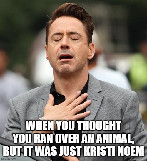 relieved rdj | WHEN YOU THOUGHT YOU RAN OVER AN ANIMAL, BUT IT WAS JUST KRISTI NOEM | image tagged in relieved rdj | made w/ Imgflip meme maker