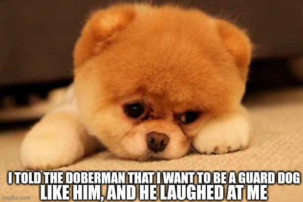 Sad puppy | I TOLD THE DOBERMAN THAT I WANT TO BE A GUARD DOG; LIKE HIM, AND HE LAUGHED AT ME | image tagged in sad puppy | made w/ Imgflip meme maker
