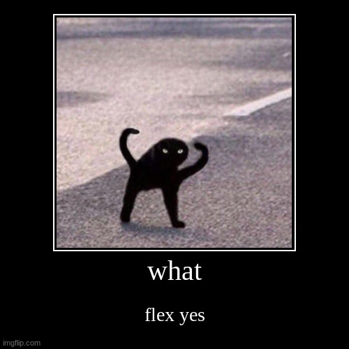 what | flex yes | image tagged in funny,demotivationals | made w/ Imgflip demotivational maker
