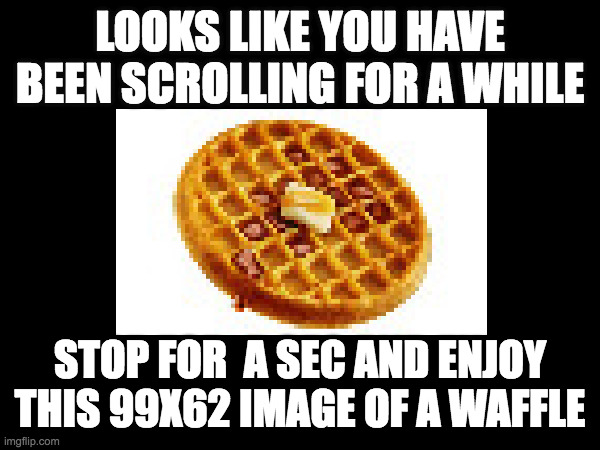 Hungry? | LOOKS LIKE YOU HAVE BEEN SCROLLING FOR A WHILE; STOP FOR  A SEC AND ENJOY THIS 99X62 IMAGE OF A WAFFLE | image tagged in waffles,waffle house,waffle,fun,repost,bruh moment | made w/ Imgflip meme maker