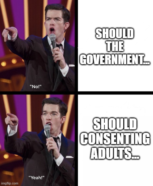 Should adults | SHOULD THE GOVERNMENT... SHOULD CONSENTING ADULTS... | image tagged in john mulaney no/yes | made w/ Imgflip meme maker