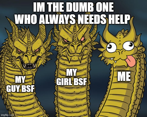 the best trio fr | IM THE DUMB ONE WHO ALWAYS NEEDS HELP; MY GIRL BSF; ME; MY GUY BSF | image tagged in three-headed dragon | made w/ Imgflip meme maker