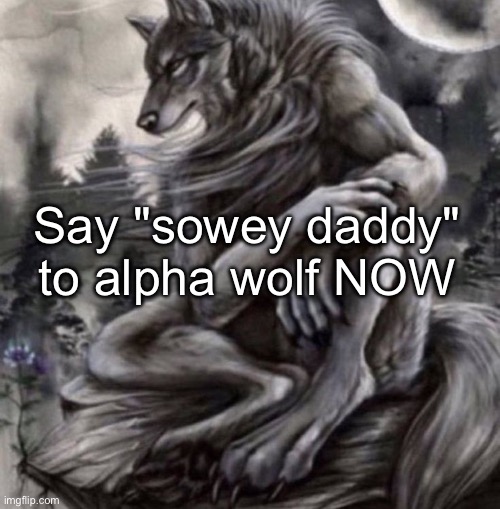 Anatodaddy's worst meme yet pt 55 | Say "sowey daddy" to alpha wolf NOW | image tagged in alpha wolf | made w/ Imgflip meme maker