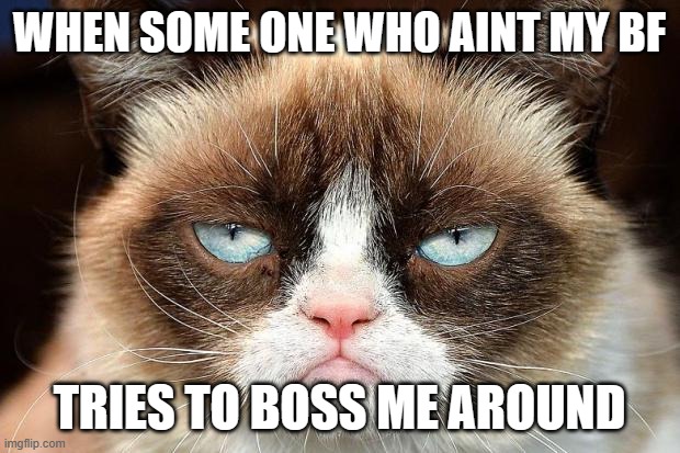 Grumpy Cat Not Amused | WHEN SOME ONE WHO AINT MY BF; TRIES TO BOSS ME AROUND | image tagged in memes,grumpy cat not amused,grumpy cat | made w/ Imgflip meme maker