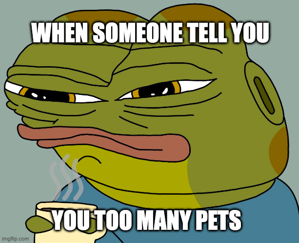 you wouldnt get it | WHEN SOMEONE TELL YOU; YOU TOO MANY PETS | image tagged in hoppy coffee | made w/ Imgflip meme maker