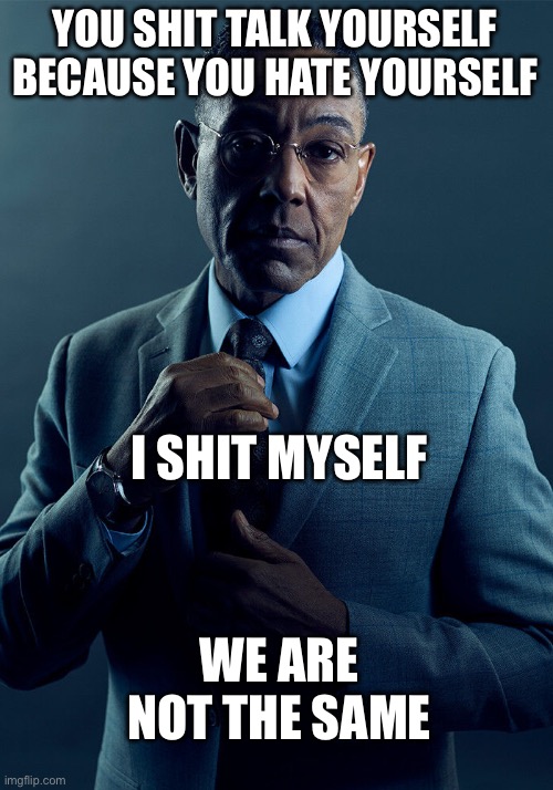 Gus Fring we are not the same | YOU SHIT TALK YOURSELF BECAUSE YOU HATE YOURSELF; I SHIT MYSELF; WE ARE NOT THE SAME | image tagged in gus fring we are not the same | made w/ Imgflip meme maker