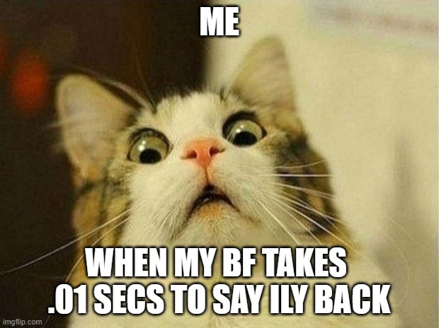 like what takes him so long | ME; WHEN MY BF TAKES  .01 SECS TO SAY ILY BACK | image tagged in memes,scared cat | made w/ Imgflip meme maker
