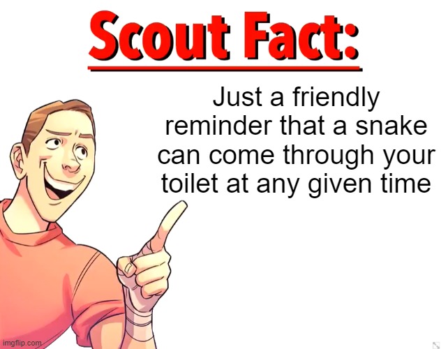 Scout Fact | Just a friendly reminder that a snake can come through your toilet at any given time | image tagged in scout fact | made w/ Imgflip meme maker