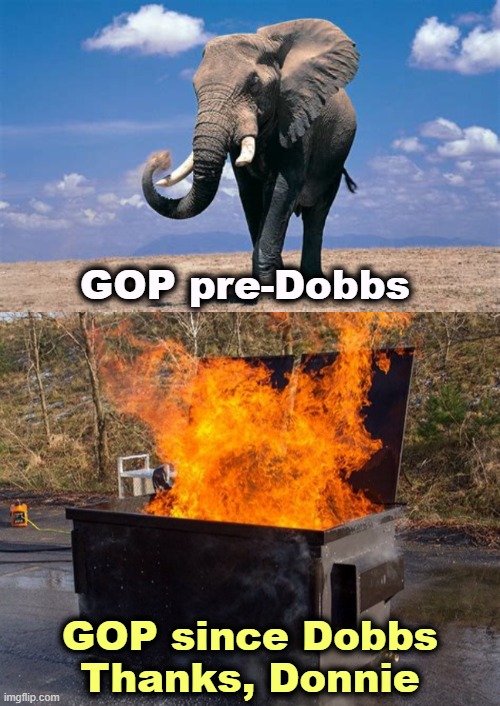 GOP pre-Dobbs; GOP since Dobbs
Thanks, Donnie | image tagged in dumpster fire,elephant,republican party,maga,trump | made w/ Imgflip meme maker