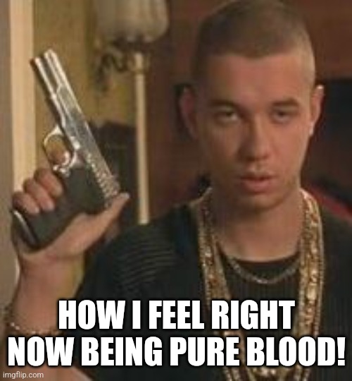 gangster | HOW I FEEL RIGHT NOW BEING PURE BLOOD! | image tagged in gangster | made w/ Imgflip meme maker