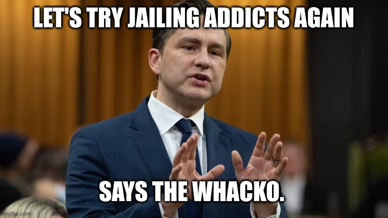 Let's try what we know doesn't work with addicts | LET'S TRY JAILING ADDICTS AGAIN; SAYS THE WHACKO. | image tagged in pierre poilievre,whacko,memes,canada,conservative party,drug addiction | made w/ Imgflip meme maker