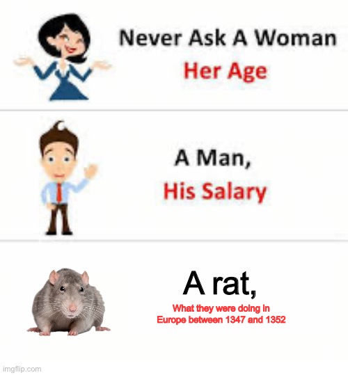 Rat | A rat, What they were doing in Europe between 1347 and 1352 | image tagged in never ask a woman her age,rat,plague,europe | made w/ Imgflip meme maker