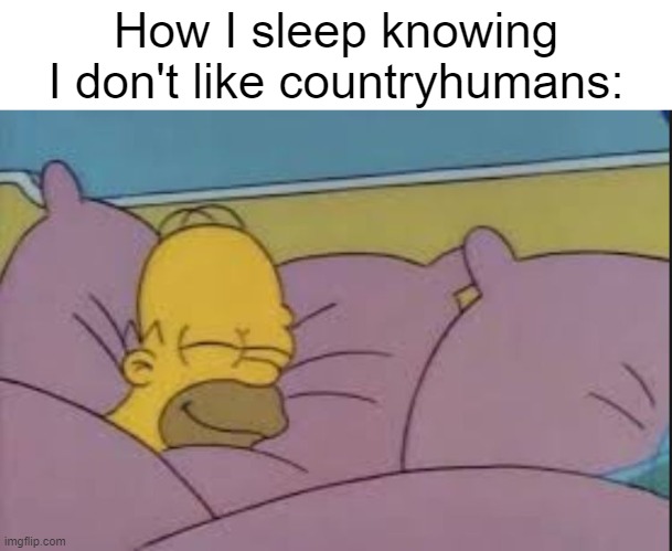 how i sleep homer simpson | How I sleep knowing I don't like countryhumans: | image tagged in how i sleep homer simpson | made w/ Imgflip meme maker