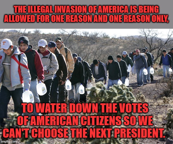 The government is more scared of you than you are of them. | THE ILLEGAL INVASION OF AMERICA IS BEING ALLOWED FOR ONE REASON AND ONE REASON ONLY, TO WATER DOWN THE VOTES OF AMERICAN CITIZENS SO WE CAN'T CHOOSE THE NEXT PRESIDENT. | image tagged in illegal immigrants crossing border | made w/ Imgflip meme maker