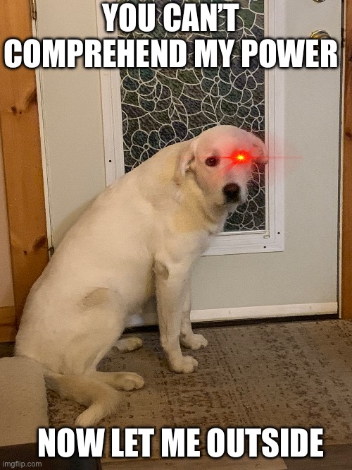 She’s kinda scary | YOU CAN’T COMPREHEND MY POWER; NOW LET ME OUTSIDE | image tagged in doge,you underestimate my power | made w/ Imgflip meme maker