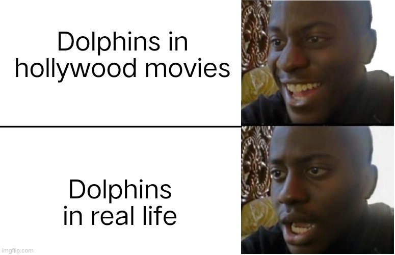 Disappointed Black Guy | Dolphins in hollywood movies; Dolphins in real life | image tagged in disappointed black guy | made w/ Imgflip meme maker