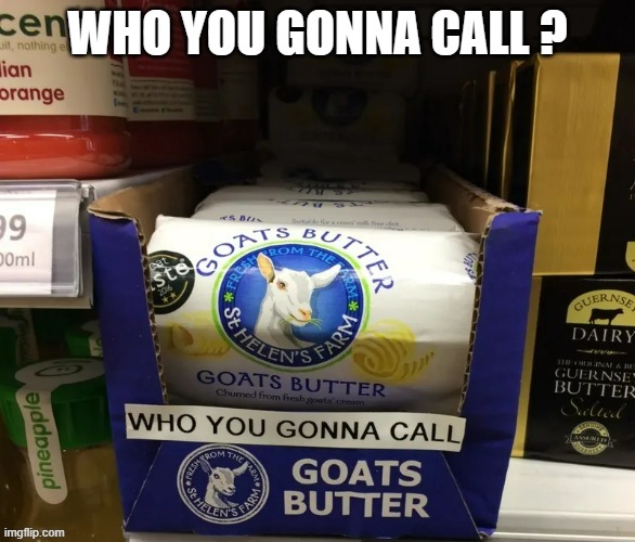 memes by Brad - GhostBusters - humor | WHO YOU GONNA CALL ? | image tagged in funny,fun,ghostbusters,movie quotes,funny meme,humor | made w/ Imgflip meme maker