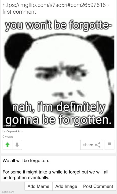 made w/ Imgflip meme maker
