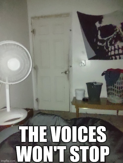 THE VOICES WON'T STOP | made w/ Imgflip meme maker