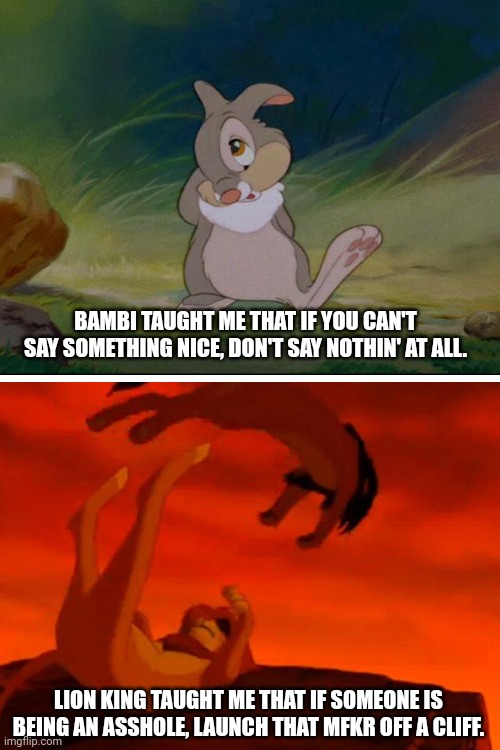 Lessons Disney taught me | BAMBI TAUGHT ME THAT IF YOU CAN'T SAY SOMETHING NICE, DON'T SAY NOTHIN' AT ALL. LION KING TAUGHT ME THAT IF SOMEONE IS BEING AN ASSHOLE, LAUNCH THAT MFKR OFF A CLIFF. | image tagged in disney,assholes,lion king,bambi | made w/ Imgflip meme maker