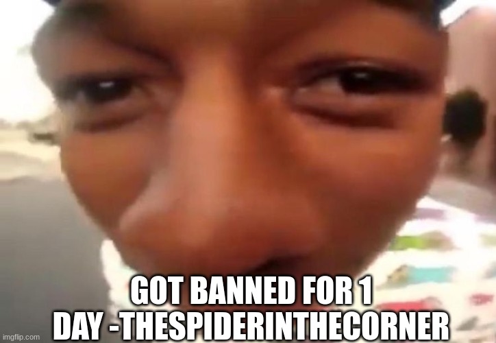 negawatt | GOT BANNED FOR 1 DAY -THESPIDERINTHECORNER | image tagged in negawatt | made w/ Imgflip meme maker