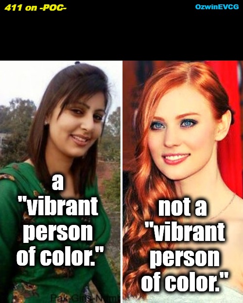 411 on -POC- | 411 on -POC-; OzwinEVCG | image tagged in people of color,white people,propaganda,nonwhite people,human species,poc | made w/ Imgflip meme maker