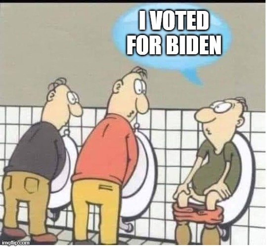 Urinal sitter | I VOTED FOR BIDEN | image tagged in urinal sitting,biden | made w/ Imgflip meme maker