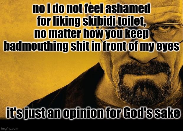 hating people just for different opinions are very ridiculous and dumb | no i do not feel ashamed for liking skibidi toilet, no matter how you keep badmouthing shit in front of my eyes; it's just an opinion for God's sake | image tagged in breaking bad | made w/ Imgflip meme maker