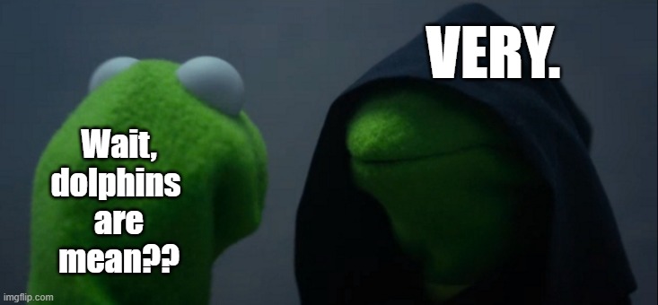 Evil Kermit Meme | Wait,
dolphins 
are
mean?? VERY. | image tagged in memes,evil kermit | made w/ Imgflip meme maker