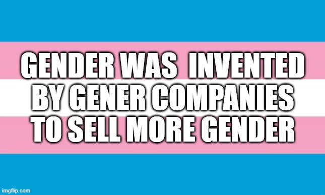 More Gender | GENDER WAS  INVENTED BY GENER COMPANIES TO SELL MORE GENDER | image tagged in transgender flag | made w/ Imgflip meme maker