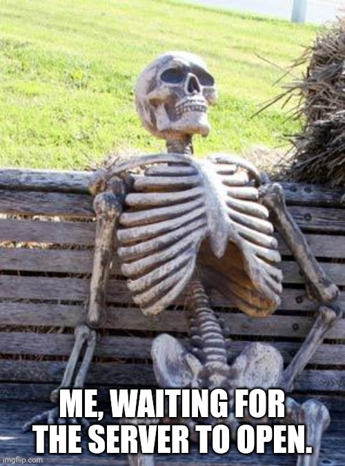 Waiting Skeleton | ME, WAITING FOR THE SERVER TO OPEN. | image tagged in memes,waiting skeleton | made w/ Imgflip meme maker