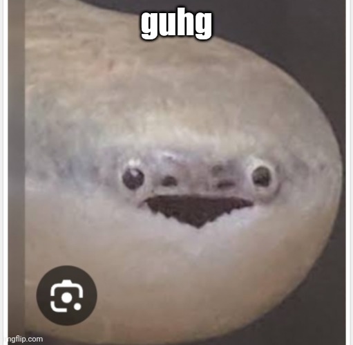 Sacabambaspis | guhg | image tagged in sacabambaspis | made w/ Imgflip meme maker