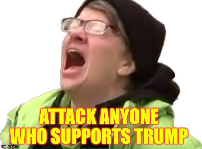 Go after anyone who supports or defends Trump.  Very inclusive | ATTACK ANYONE WHO SUPPORTS TRUMP | image tagged in screaming liberal,nazis | made w/ Imgflip meme maker