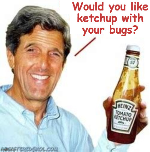 NWO... you will eat the bugs... | Would you like
ketchup with
your bugs? | image tagged in nwo,bugs,own nothing,be happy | made w/ Imgflip meme maker